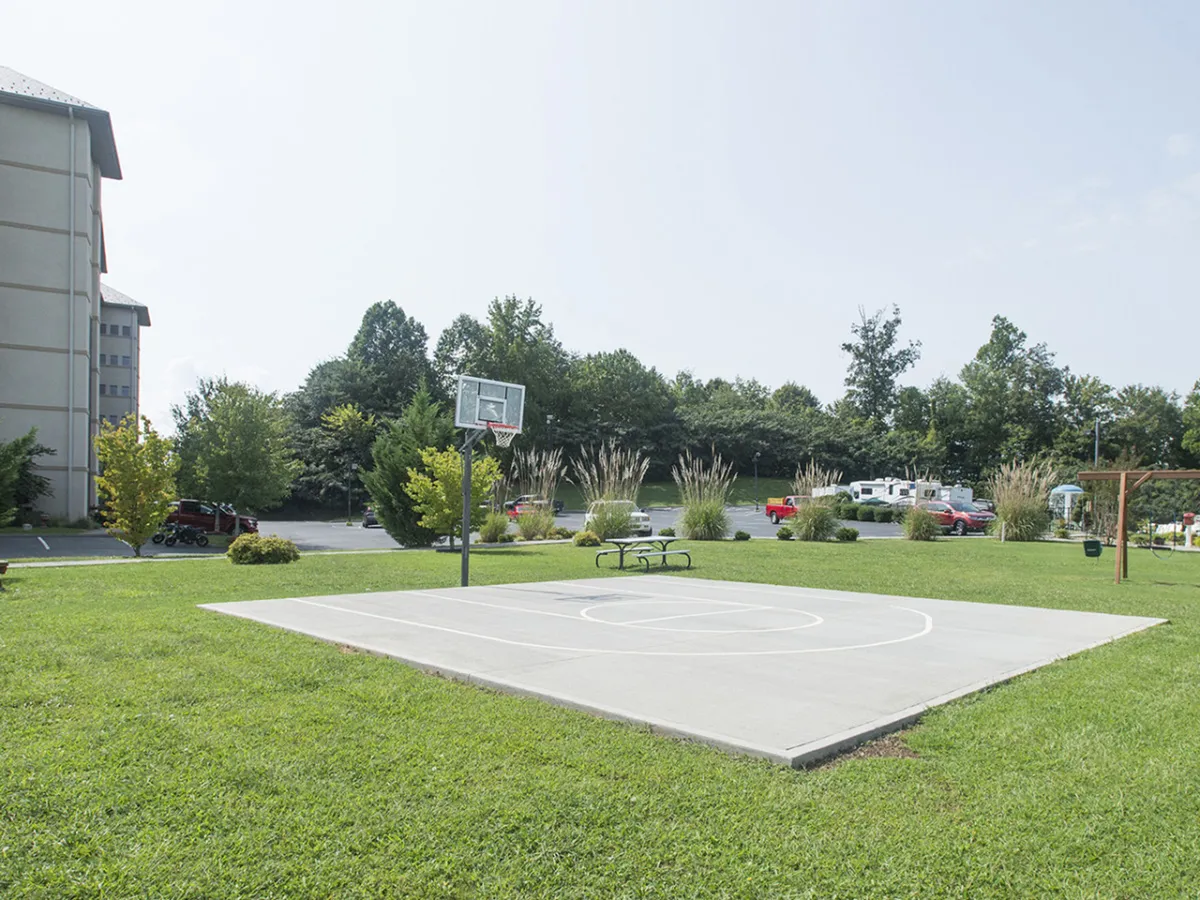 A full basketball court set amidst lush greenery, with park benches along the side for spectators or resting players. The energetic vibe of the space is ideal for friendly games and outdoor activity.
