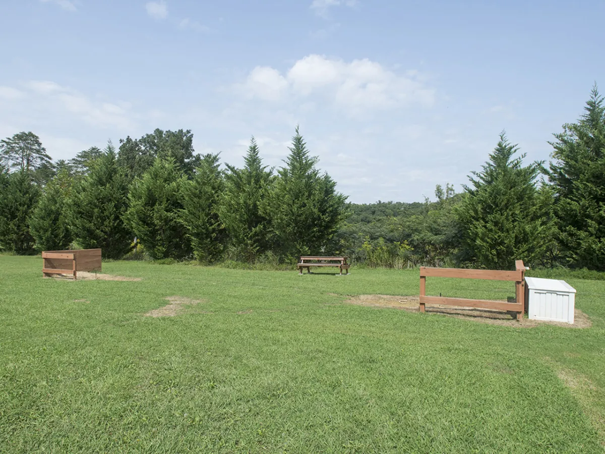 Wooden benches sit on lush green grass, surrounded by evergreen trees and a scenic view of rolling hills—creating a welcoming spot for picnics, relaxation, and accessible nature walks.